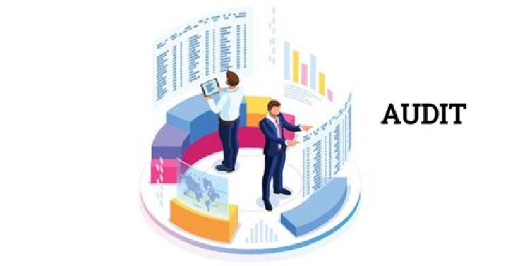 Who can represent you in an audit?