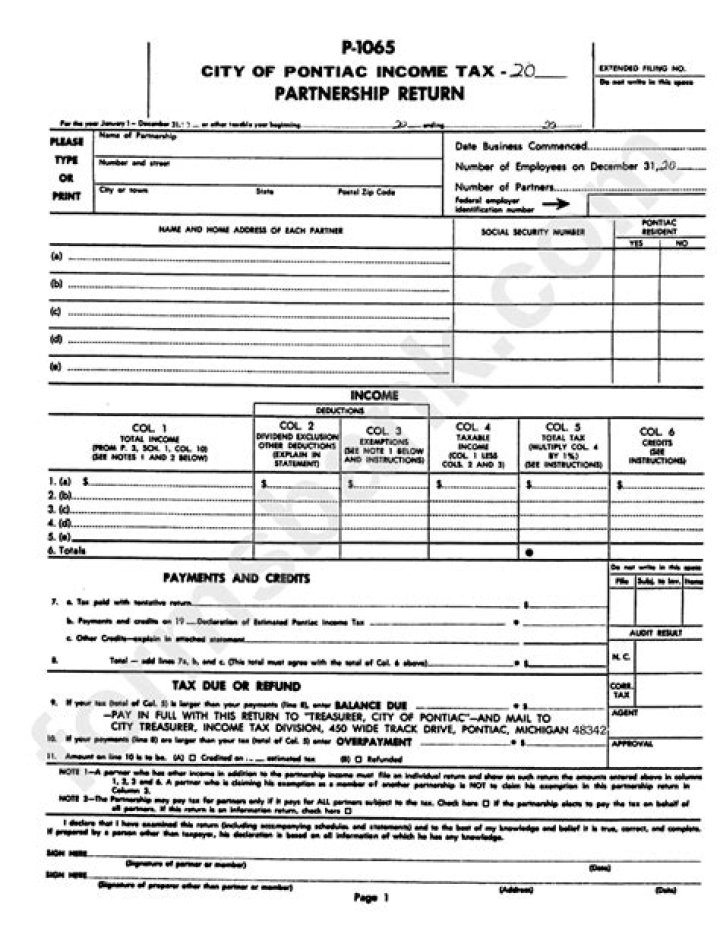 Who files a 1065 tax return?