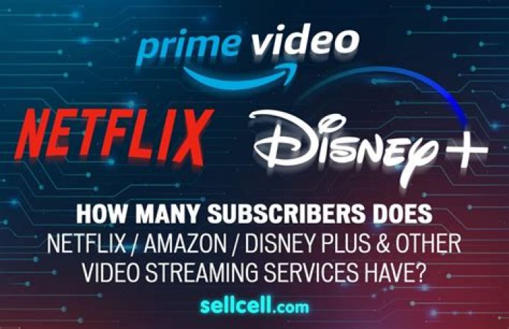 Who has more subscribers Netflix or Disney Plus?
