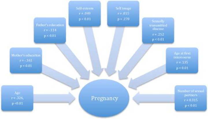 Who is at risk for teenage pregnancy?