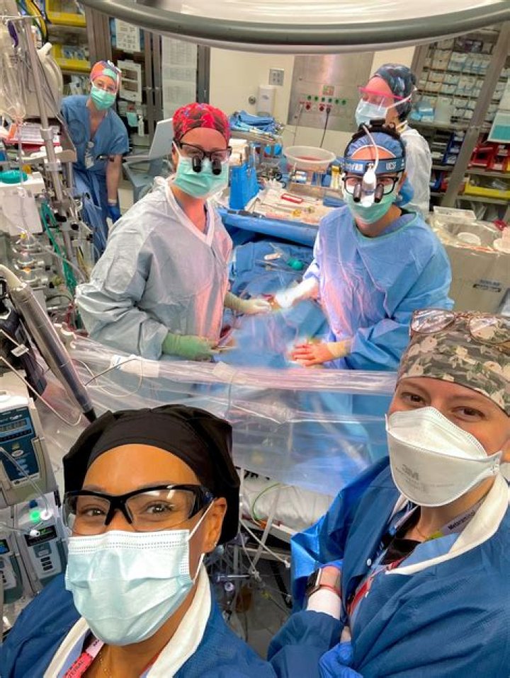 Who is the most famous heart surgeon?