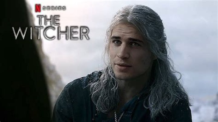 Who is the pregnant Elf in The Witcher?