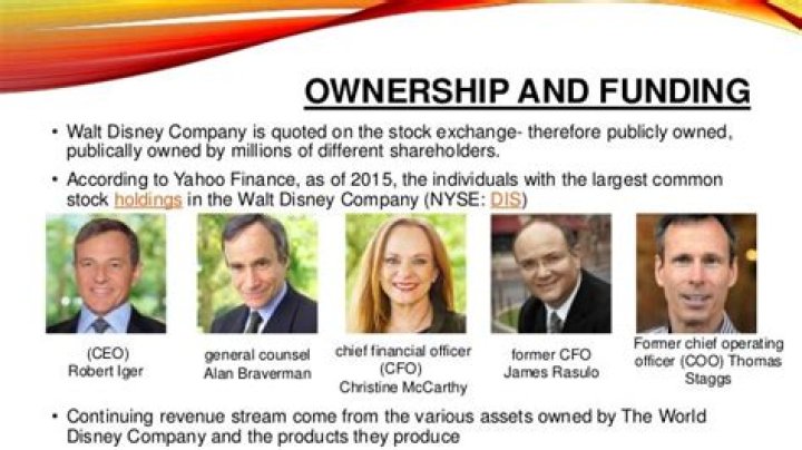 Who owns Disneyland?