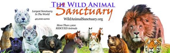 Who started the Wild animal sanctuary?
