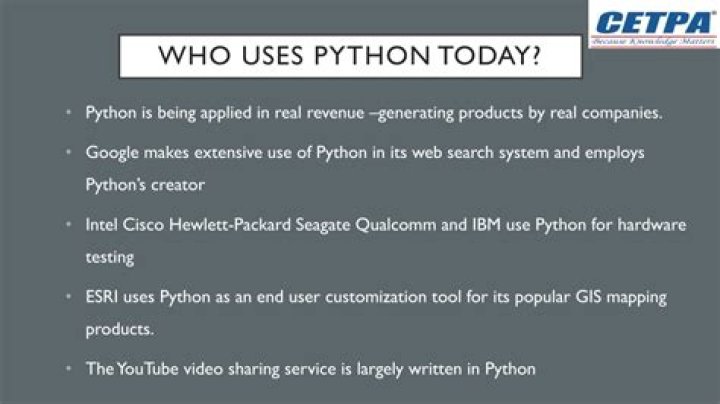 Who uses Python today?