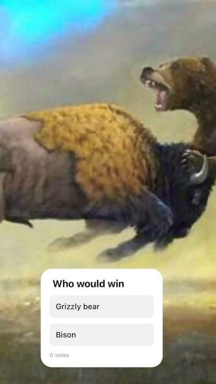 Who would win Bison vs grizzly bear?