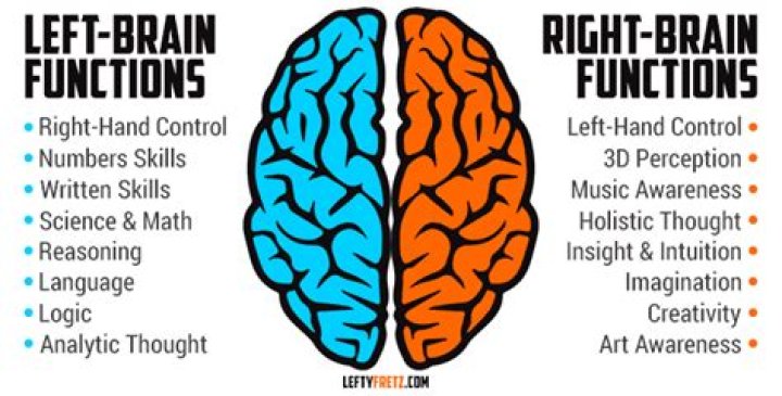 Why are left-handers more intelligent?
