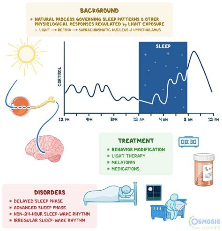 Why are stroke victims so tired?