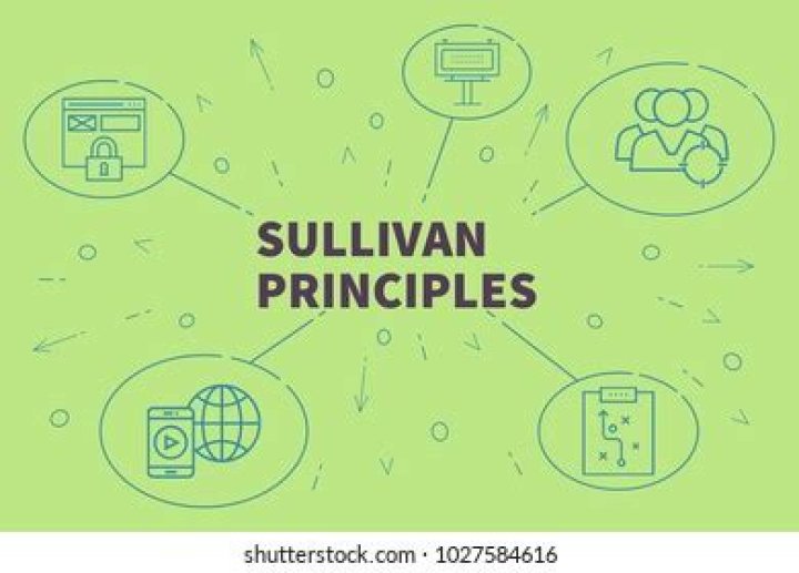 Why are the Sullivan principles important?