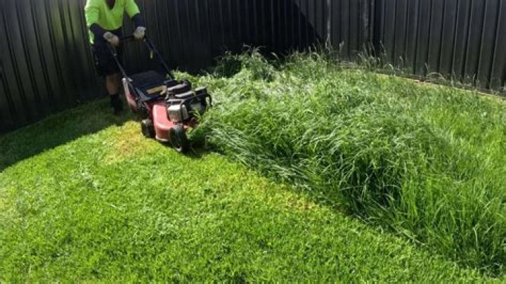 Why are there clumps of grass after mowing?