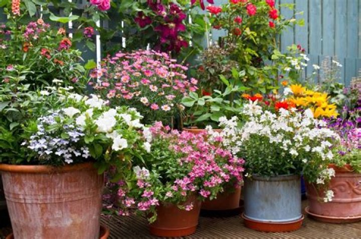 Why can't you use garden soil in pots?
