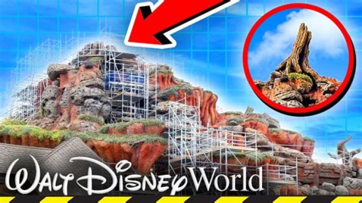Why did Disney remove Splash Mountain?