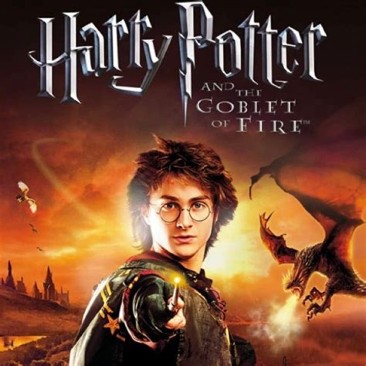 Why did Igor go to the Goblet of Fire?