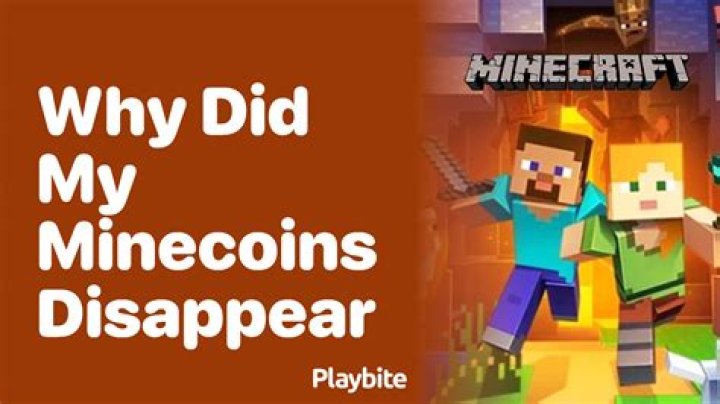 Why did my stuff disappear in Minecraft before 5 minutes?