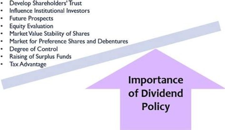 Why dividend policy is important to a company?