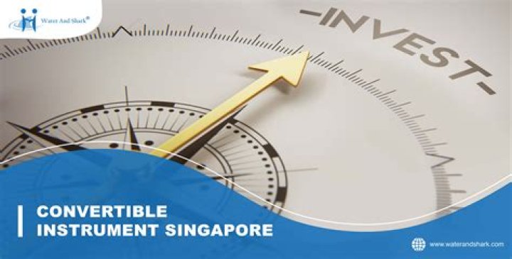 Why do companies issue convertible instruments?