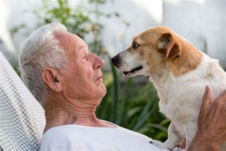 Why do elderly people with pets live longer?