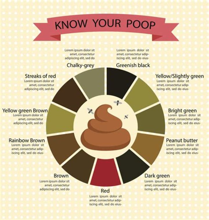 Why do I poop at 4am?