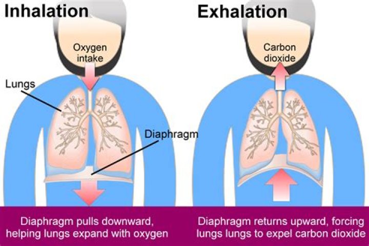 Why do you breathe heavily when turned on?