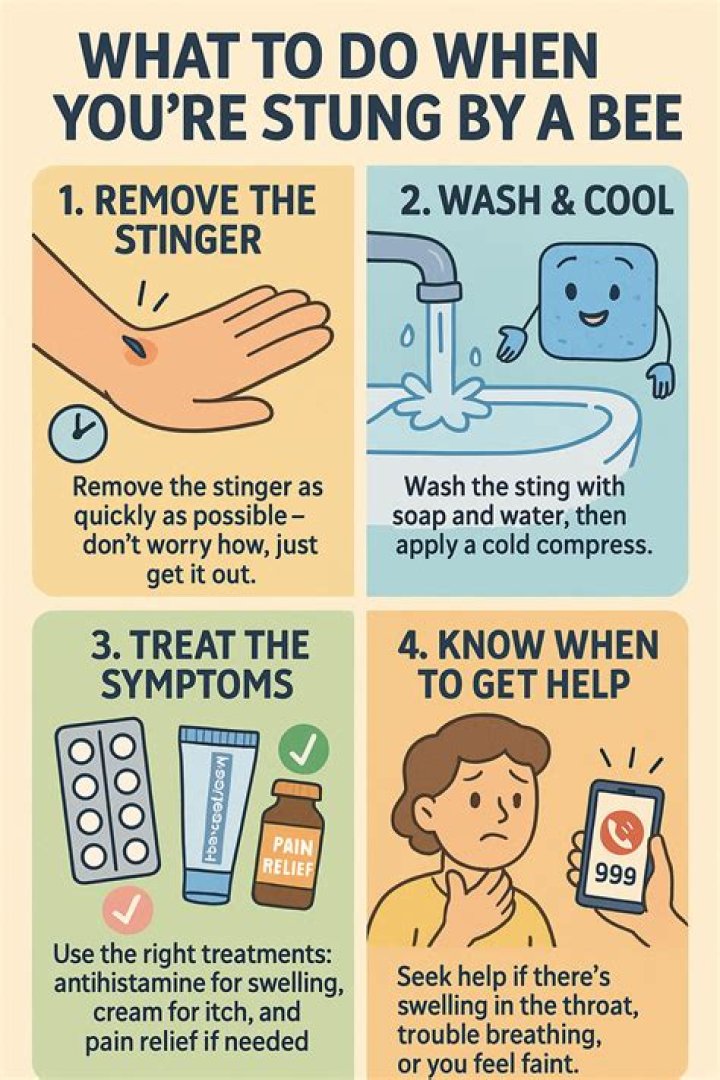 Why do you put mud on a bee sting?