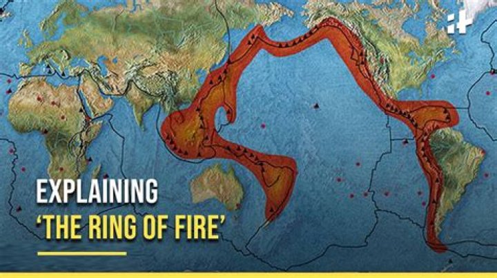 Why does a fire feel so good?