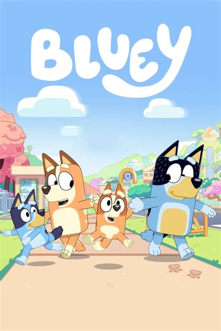 Why does Bluey look like a boy?