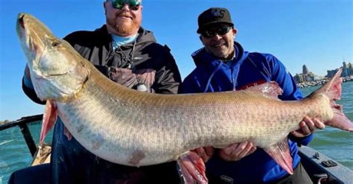 Why does Lake Erie have the most fish?