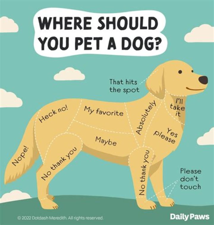 Why does my dog bow his head to me when I pet him?