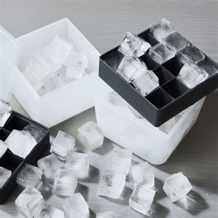 Why does my ice smell like fish?