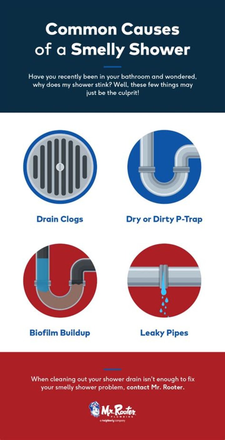 Why does my shower drain smell like cat pee?