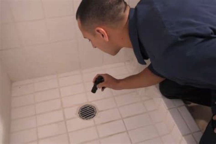 Why does my shower smell like pee?