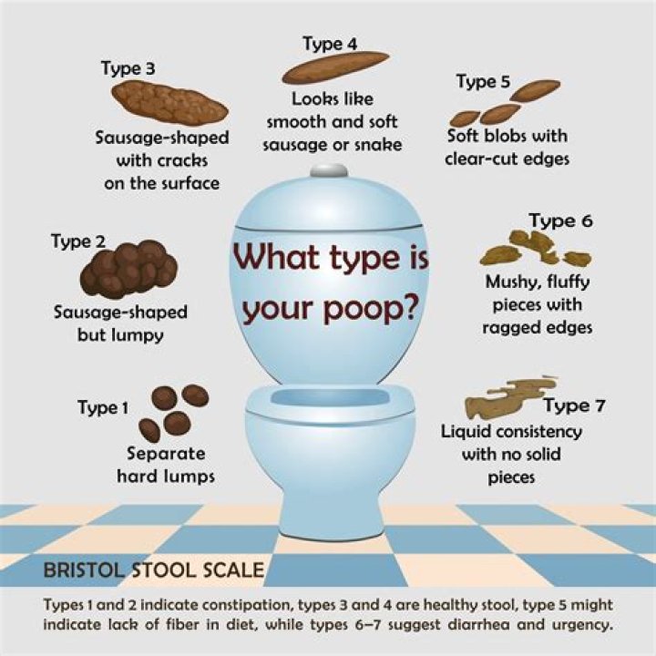 Why does warm water make you poop?