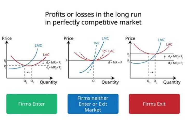 Why is price constant to the individual firm selling in a purely competitive market?