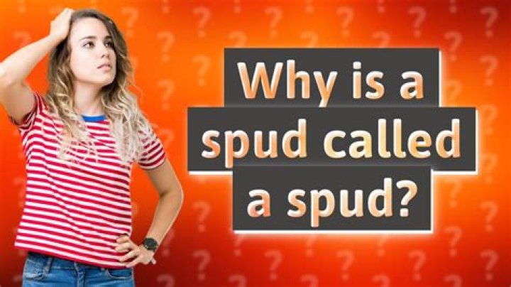 Why is spud called spud?