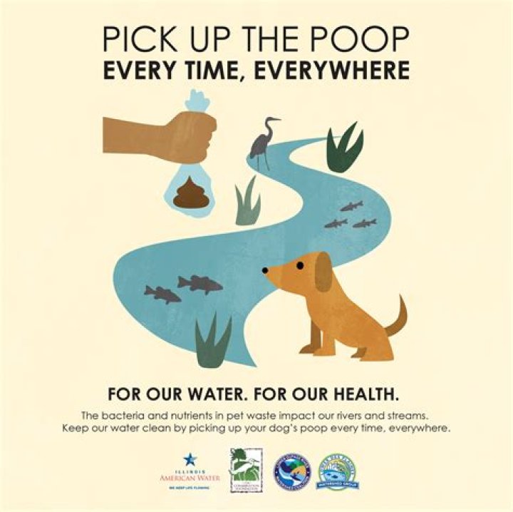 Why should I pick up dog poop?