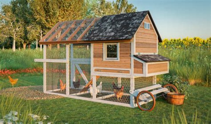 Why won't my chickens go in their coop at night?