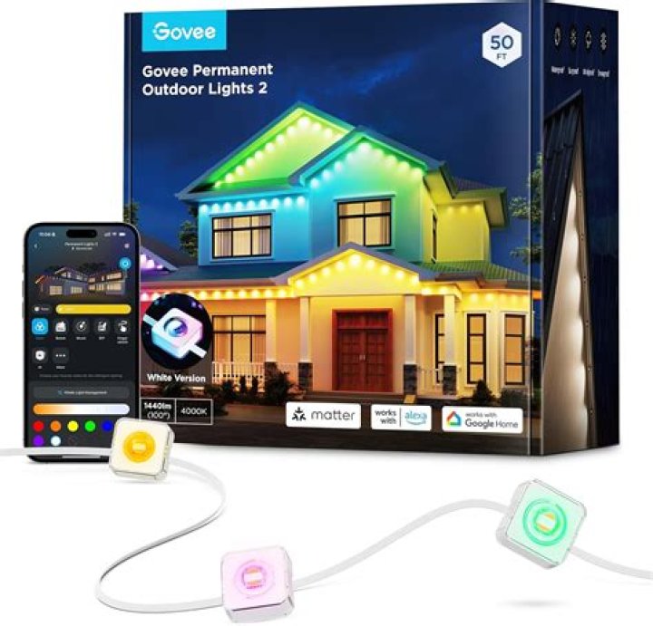 Will a rat come out of the lights are on?