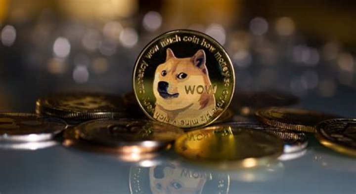 Will Dogecoin be the currency on Mars?