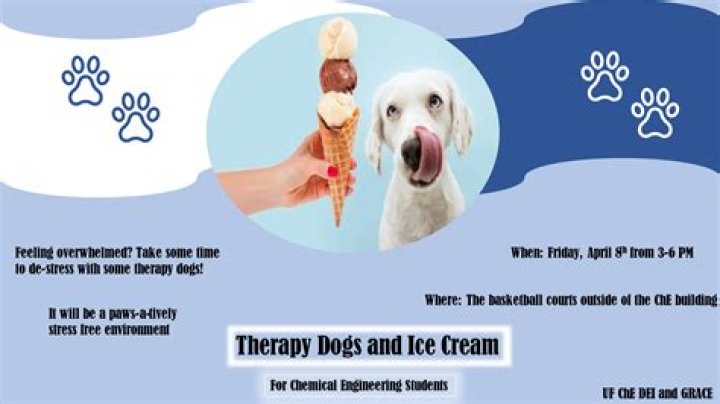 Will ice cream hurt a dog?