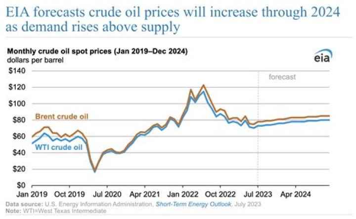 Will oil price go up in 2021?