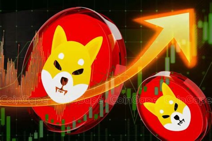 Will Shiba Inu reach 1 rupee in 2025?