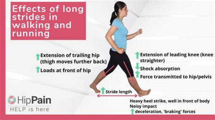 Will walking strengthen hips?